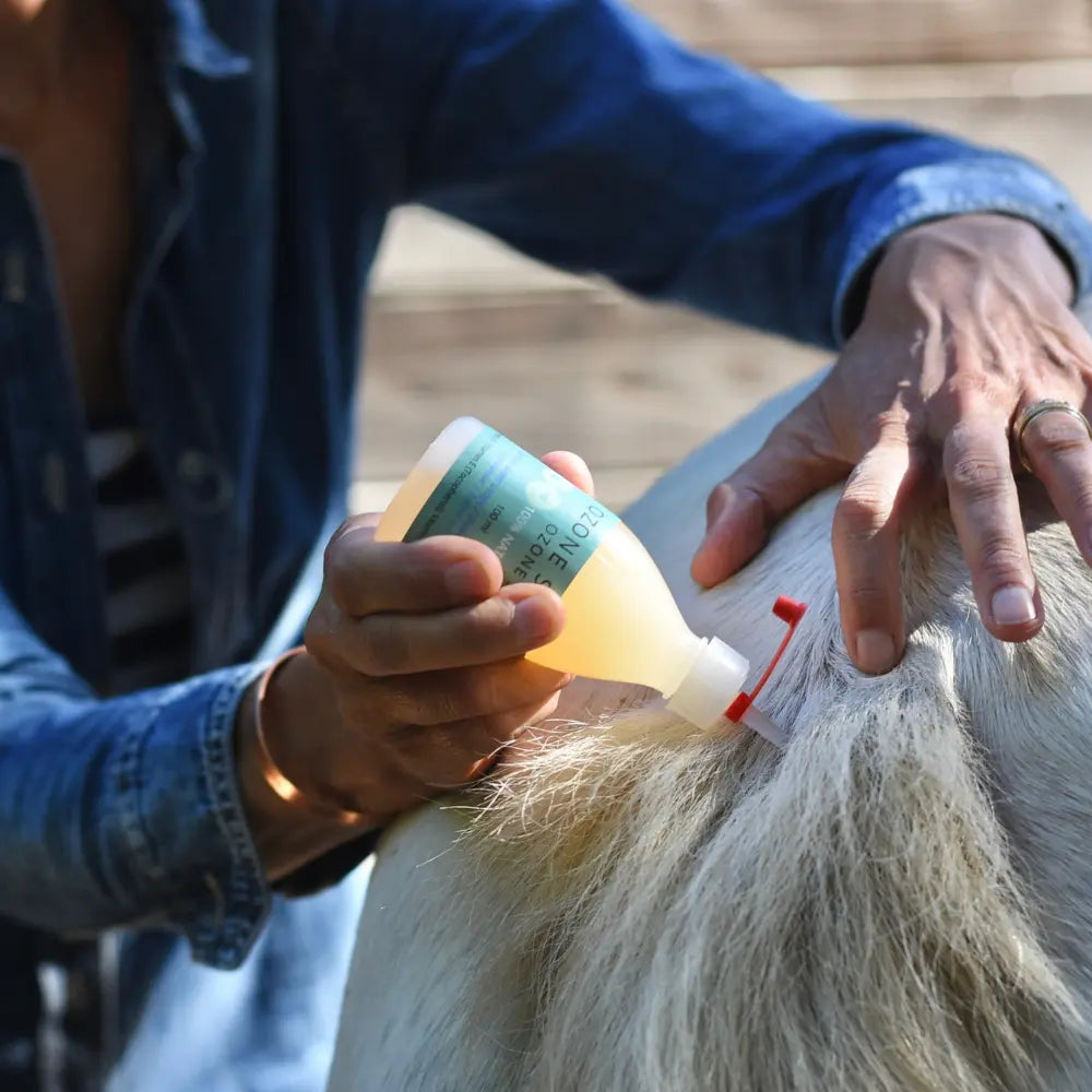 Ozone soin peau est indiqué pour soigner la maladie de peau des chevaux.