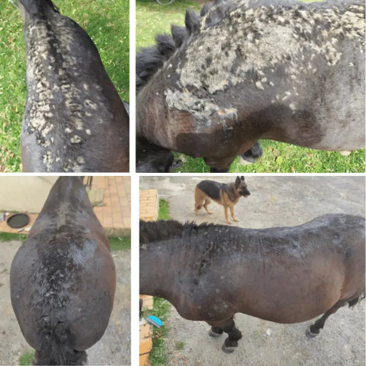Pack SOS PEAU