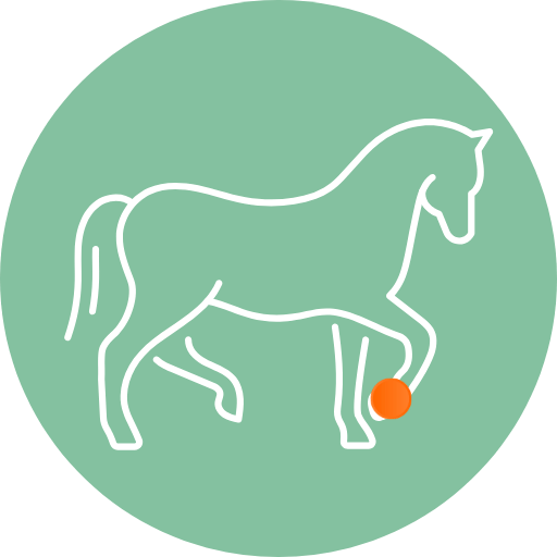 Soins naturel du pied et sabot du cheval