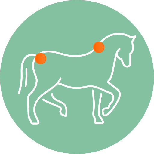soin pour cheval