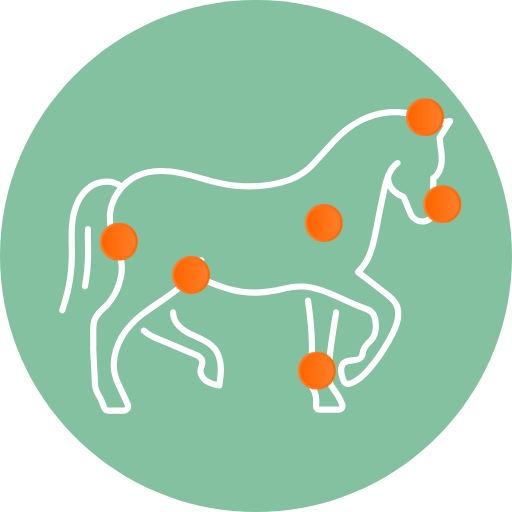 soin naturel cheval