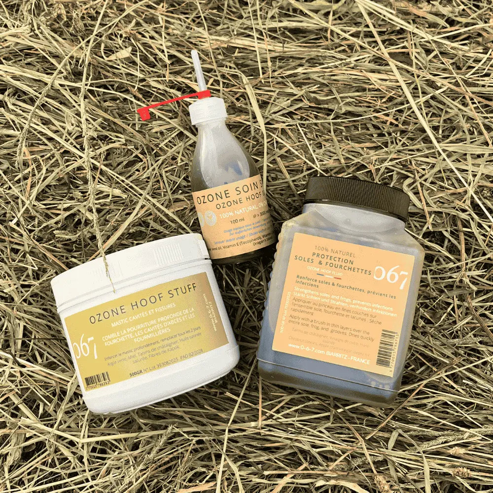 soins naturels pieds cheval
