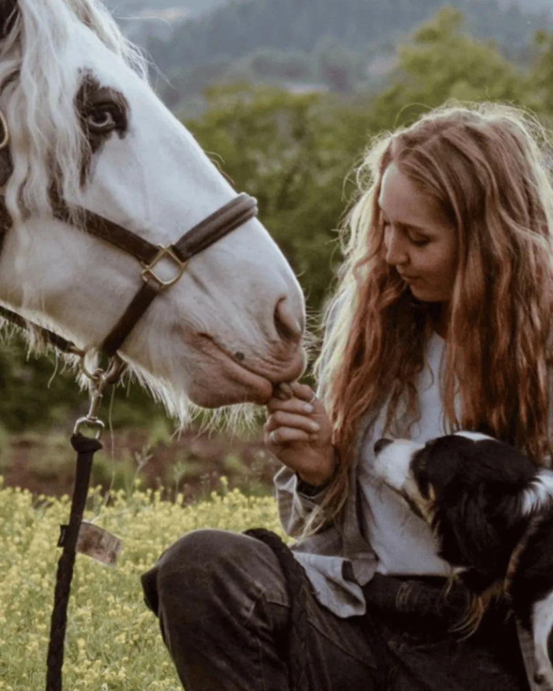 Produits naturels pour animaux 067 Biarritz
