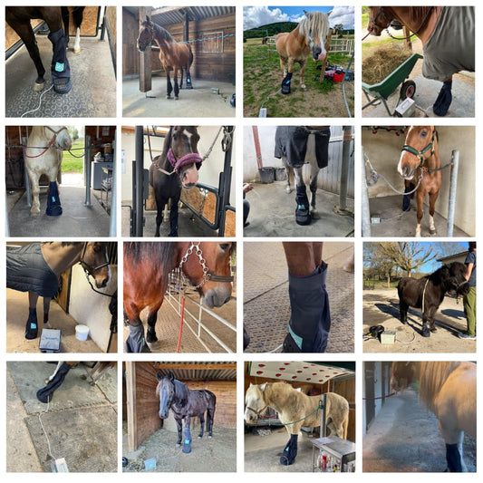 Dispositif Bagging Ozone utilisé sur divers chevaux: bottes et protège-pieds, ponettes en boxe, en extérieur et en écurie, avec capteurs et matériel de nettoyage.